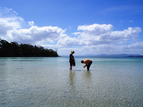 Bruny Island Escapes And Hotel Bruny - Accommodation Bookings 36