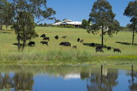 Book Nabiac Accommodation Vacations Accommodation Bookings Accommodation Bookings