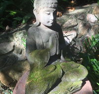 'The Tree House.' Treetop living near the ocean Coolum Beach QLD Australia - Accommodation Bookings