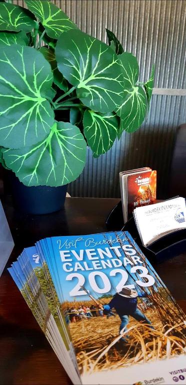 Burdekin Motor Inn - Accommodation Bookings 4