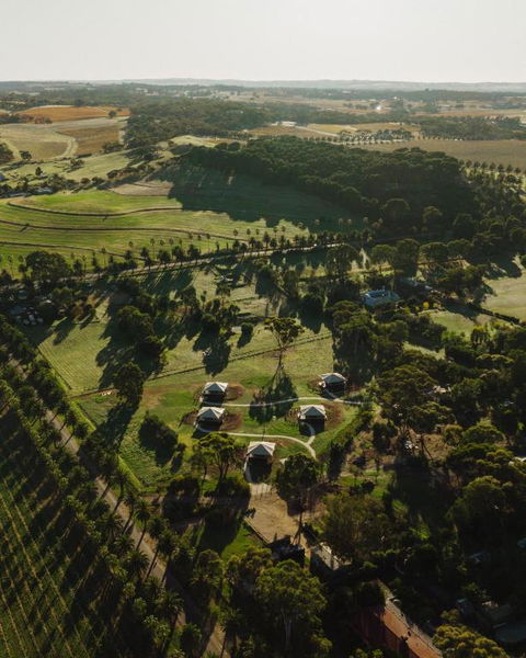 CANVS By CABN Seppeltsfield Barossa - Accommodation Bookings 1