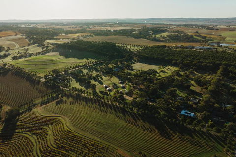CANVS By CABN Seppeltsfield Barossa - Accommodation Bookings 2