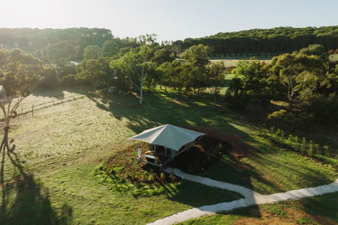 CANVS By CABN Seppeltsfield Barossa - Accommodation Bookings 0