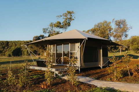CANVS By CABN Seppeltsfield Barossa - Accommodation Bookings 3