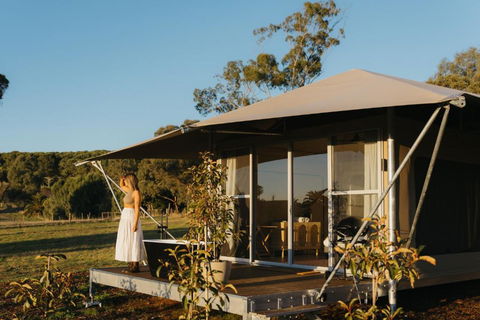 CANVS By CABN Seppeltsfield Barossa - Accommodation Bookings 4