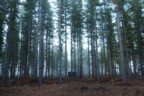 CABN Kuitpo Forest - Accommodation Bookings 2