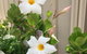 Caversham B&B - thumb 1