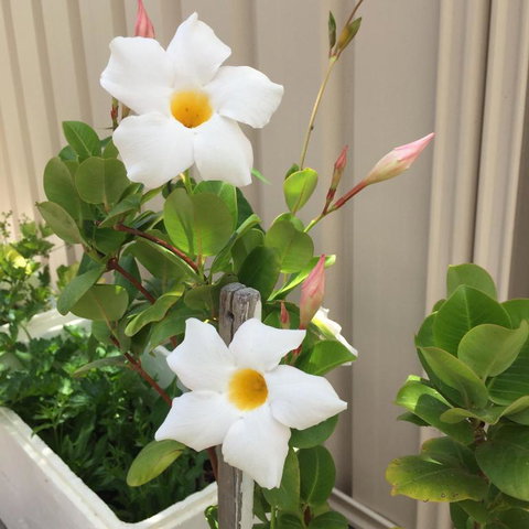 Caversham B&B - Accommodation Bookings 1