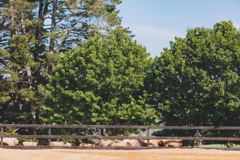 Dalblair Bed & Breakfast - Accommodation Bookings 2