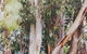 Dalblair Bed & Breakfast - thumb 3