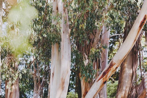 Dalblair Bed & Breakfast - Accommodation Bookings 3