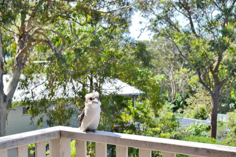 Dalesview Retreat - Bring Your Own Linen - Accommodation Bookings 1