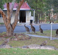 31 The Rocks