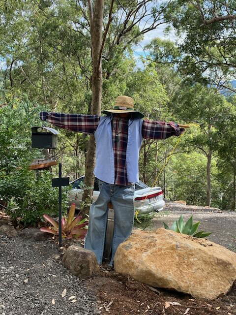 424 Trees - Accommodation Bookings 3