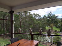 Book Upper Coomera Accommodation Vacations Accommodation Bookings Accommodation Bookings