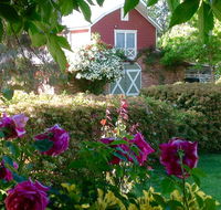 A Country Barn Retreat - Accommodation Bookings