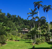 A Daintree Garden - Accommodation Bookings