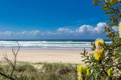 A SWEET ESCAPE - Beachfront Tranquility - Accommodation Bookings 3