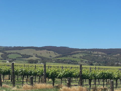 A Victor Harbour Retreat Aldinga Tony's Music Cottage - Accommodation Bookings 3