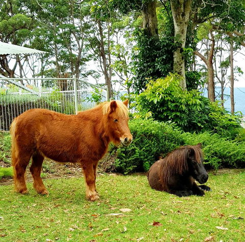 Aaronlee Retreat - Accommodation Bookings 1