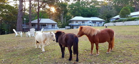 Aaronlee Retreat - Accommodation Bookings 2