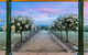 Abbotsford Country House Barossa Valley - thumb 1
