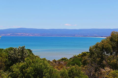 Acacia Cottage - Accommodation Bookings 1