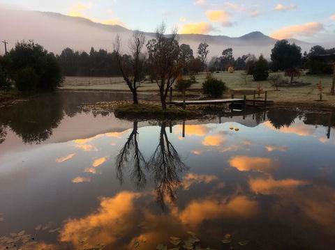 Acheron Acres Riverside - Accommodation Bookings 2