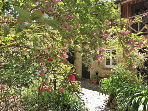 Adelaide Hills 'Camellia Cottage' - WiFi - Accommodation Bookings 2