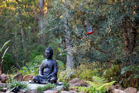 Dorrigo Bush Pepper Retreat - Accommodation Bookings 4