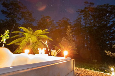 Dorrigo Bush Pepper Retreat - Accommodation Bookings 2