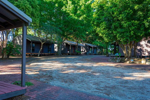 Dorrigo Mountain Holiday Park - Accommodation Bookings 2