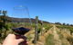 Downing Estate Homestead - thumb 4