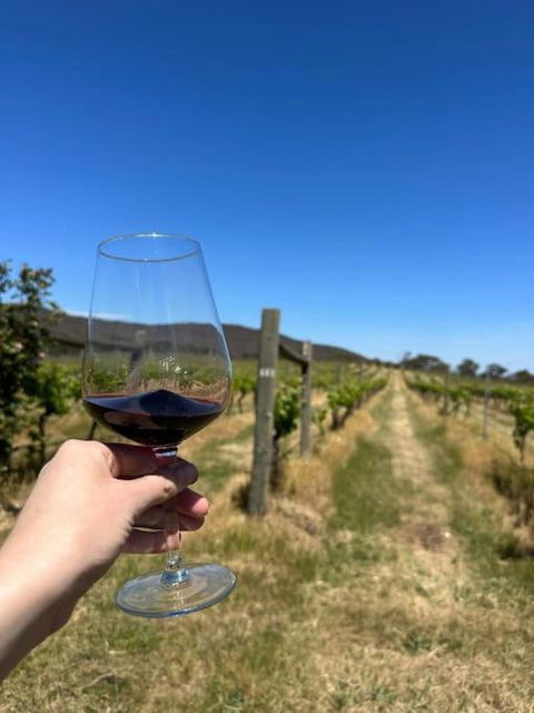 Downing Estate Homestead - Accommodation Bookings 4