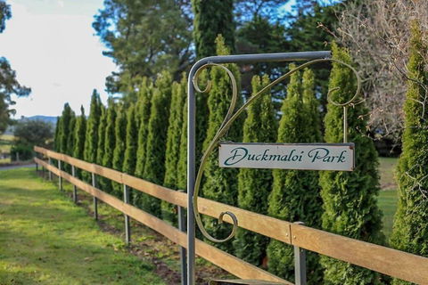 Duckmaloi Park Lodge - Accommodation Bookings 4