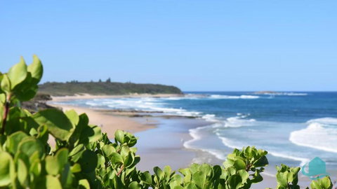 Ebbtide At Caves - 500 M To Beach - Accommodation Bookings 1