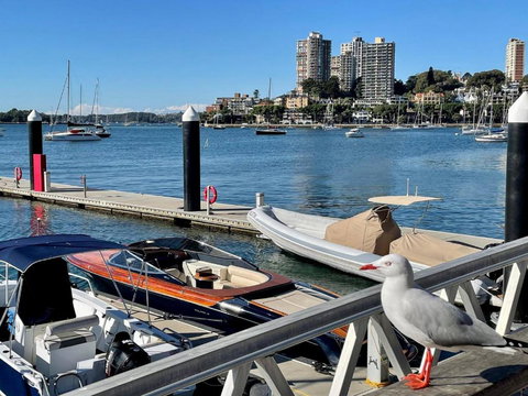 Elizabeth Bay Gem: Hidden Beach & Ferry To CBD - Accommodation Bookings 4