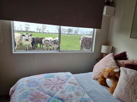 Farmstay - Accommodation Bookings 1