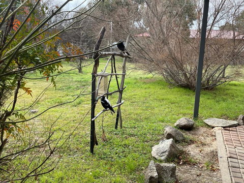 Florence Lodge - Accommodation Bookings 4