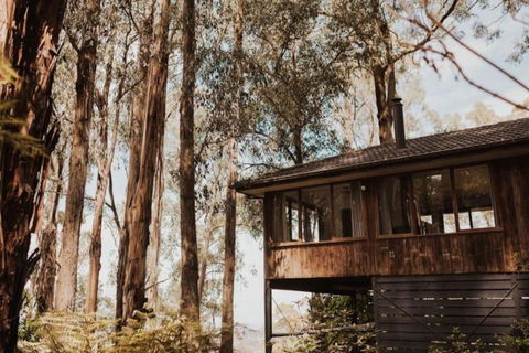 Forest Retreat - Accommodation Bookings 0