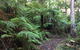 Forrest River Valley - thumb 4