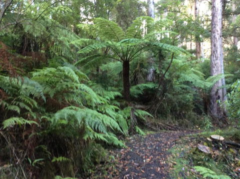 Forrest River Valley - Accommodation Bookings 4