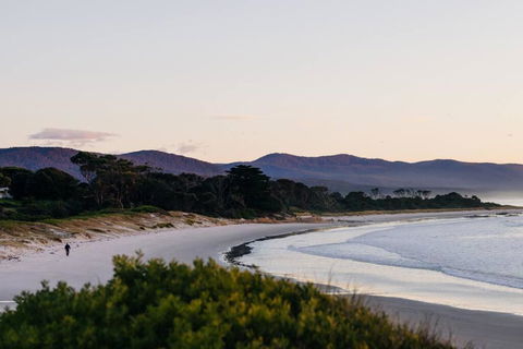 Frankie Beach House - Accommodation Bookings 3