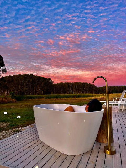 Freed.Omspace - Accommodation Bookings 2