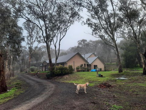Frogmouth Hollow - Accommodation Bookings 0