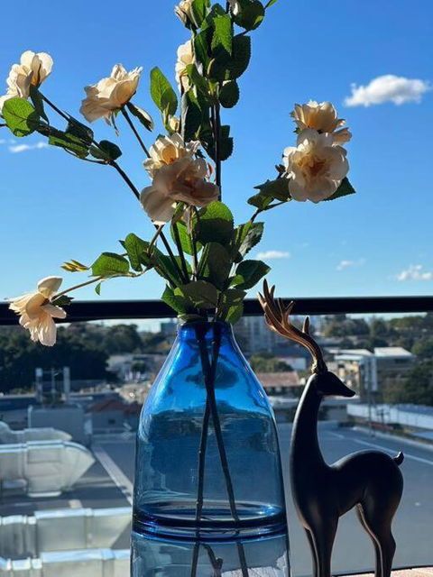 Fully Equipped Apartment In Rockdale - Accommodation Bookings 0