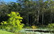 Garden Hill Retreat South Coast Australia - thumb 3