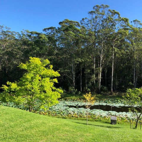 Garden Hill Retreat South Coast Australia - Accommodation Bookings 3