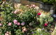 Garden Hill Retreat South Coast Australia - thumb 4