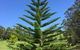 Garden Hill Sandstone Villas: Shoalhaven NSW Australia - thumb 1
